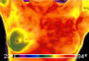 Flir Thailand