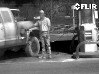 FLIR GF306